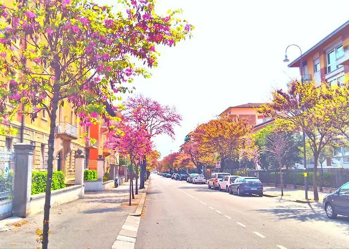 Across The River And Into The Trees *