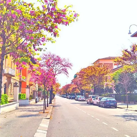 Across The River And Into The Trees *